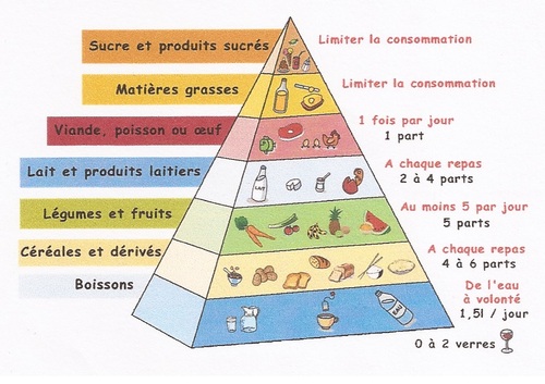pyramides des aliments a consommer par jour
