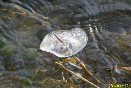 Des photos d'hiver , par D.S...