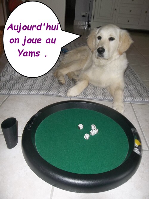 Jenny joue au Yams 