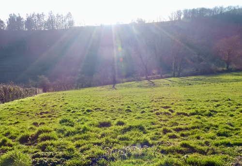 Bain de soleil :