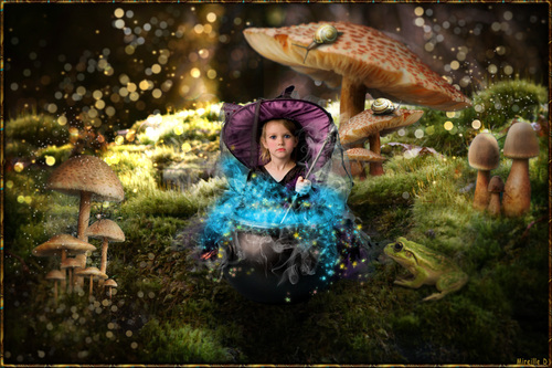 Photomontage Magique "Reine des Champignons"