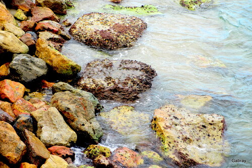 Le Barcarès : plage et rochers !