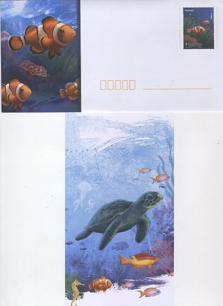 enveloppe-PAP-et-carte-poisson-3-tortue-de-mer.jpg