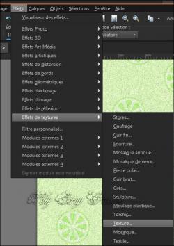 Papier velours 2