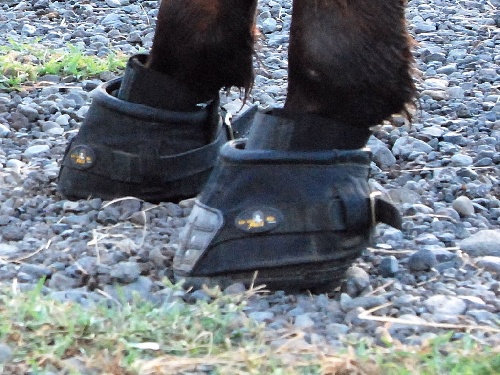 Equiboots