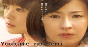 Dramas Hana Miyabi Fansub