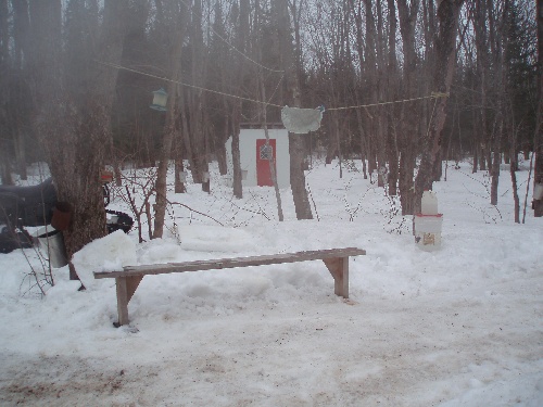 Cabane à sucre