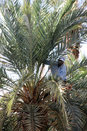 De Imilchil à Zagora