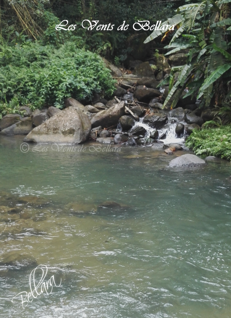 Nord de la Martinique - Les rivières - 2
