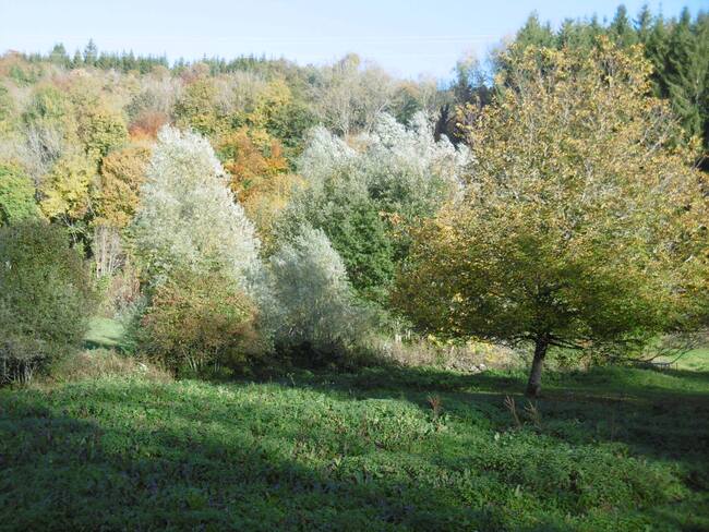 Votre photo préférée du 27 octobre 2021