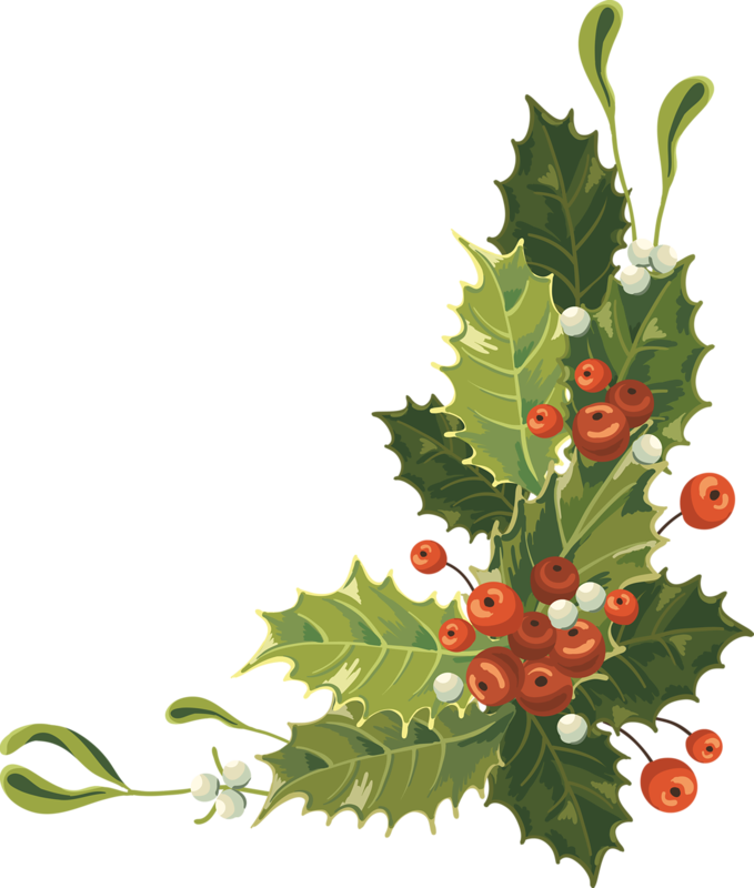 tubes noel / fleurs, gui, couronnes