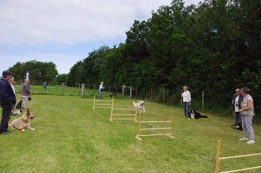 2 eme partie de l'entraînement de dimanche 16 juin ... et un petit bêtisier à la demande de tata Jojo