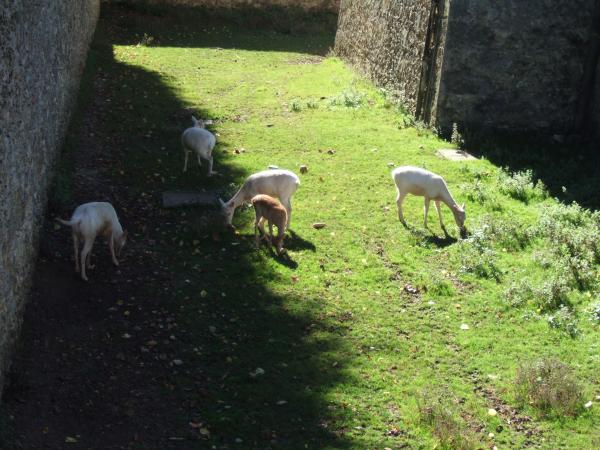 Le château de Breteuil dans les Yvelines (FIN)