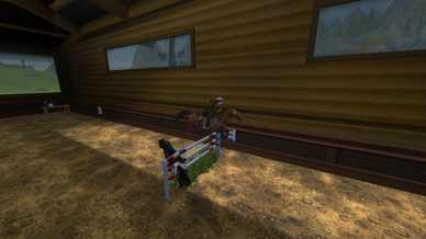 Star Stable : New !