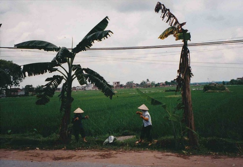 VIETNAM, Retour à Hanoï 