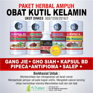 OBAT TRADISIONAL KUTIL KELAMIN HPV DI APOTIK