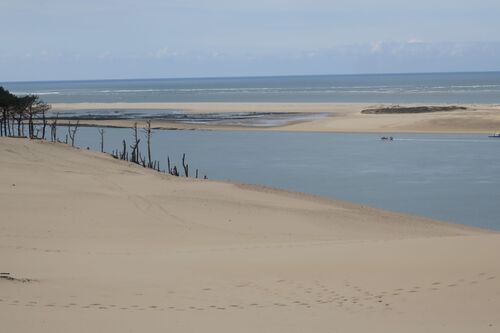 Circuit pédestre de la Dune du Pilat 