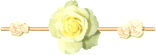 ♥ Les perles de roses ♥