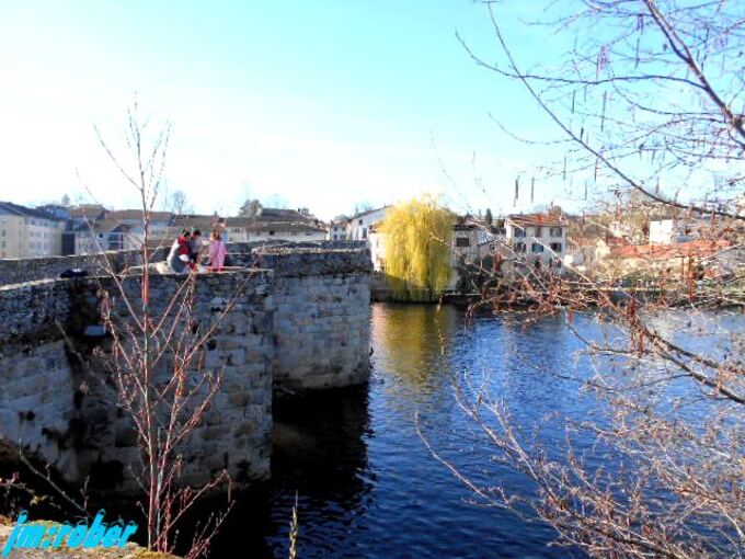 Balade printanière sur les bords de Vienne (2)