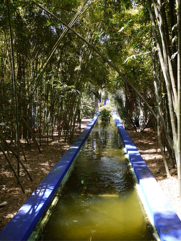 Marrakech - Jardin de Majorelle