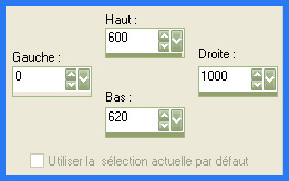 De l'ombre à la lumière