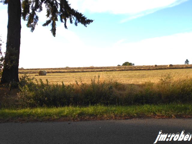 La balade d'été du Jeudi soir
