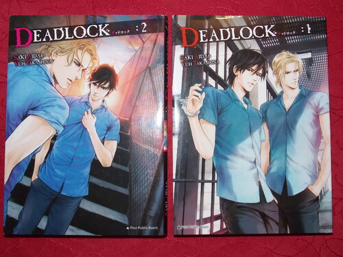 DeadLock : tomes 1 et 2 de Saki Aida et Yuh Takashina