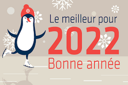 Bonne année, Meilleurs Vœux 2022 !