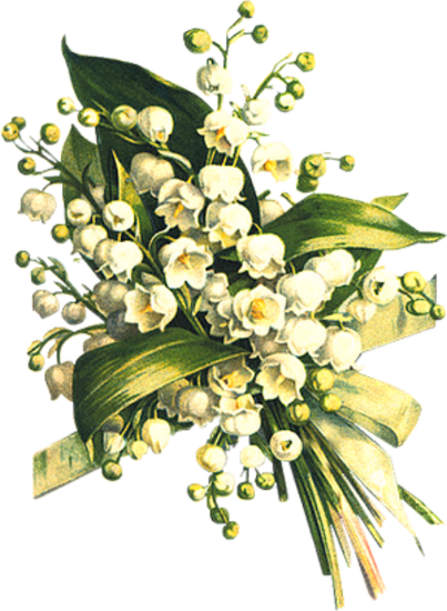 muguet du 1 mai !  4