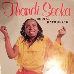 Thandi Seoka - Social Gathering