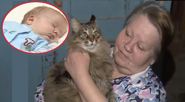 Chat sauveur d'un Bébé