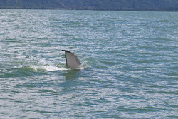 La côte pacifique