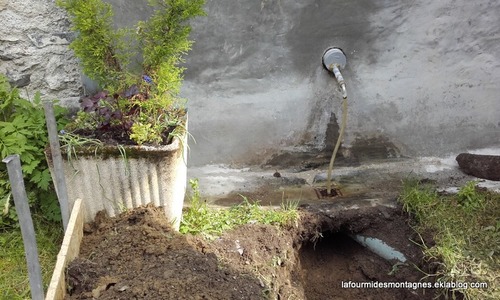 Les calamités du jardin