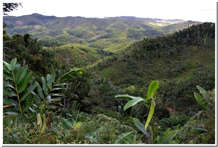 SUR LE ROUTE DE MANAKARA 