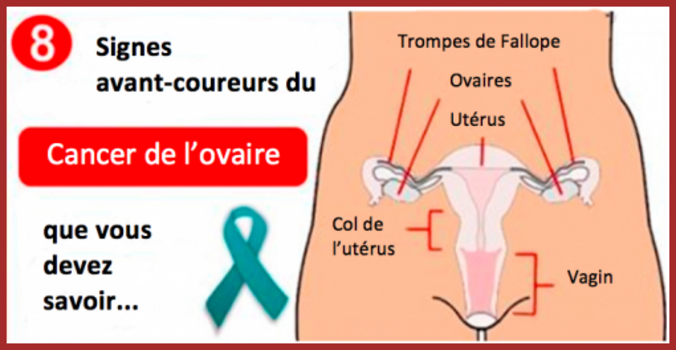 Ovaires/Utérus