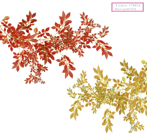 Tubes Branches d'automne