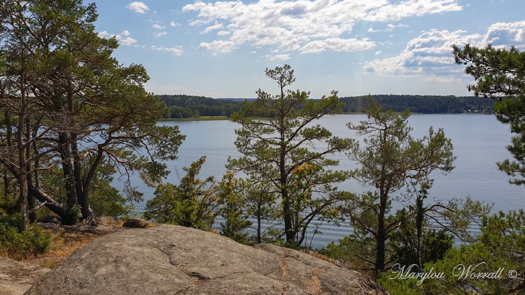 Suède : Île de Vaxholm balade en forêt