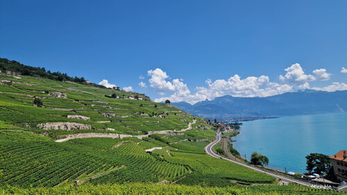 Les terrasses du Lavaux 