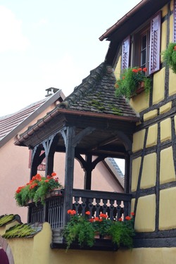 Alsace, couleurs d'automne
