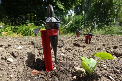 7 juin : arrosage automatique