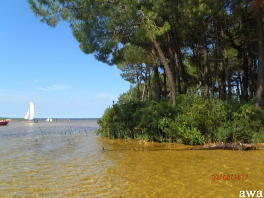 Lacanau lac : les îles