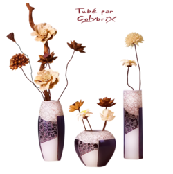 Vases  avec et sans fleurs