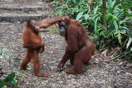 Lundi 15 juillet Good day