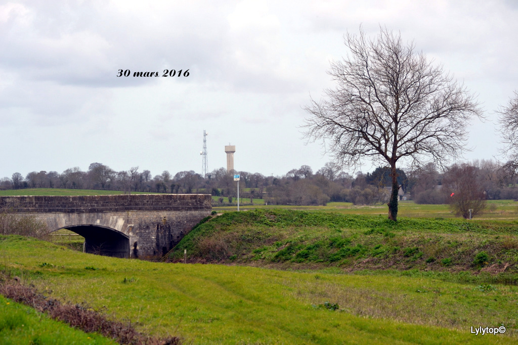 Le marais de la fière avant et après.