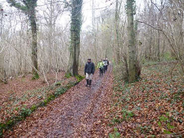 De Royville à Eglemesnil