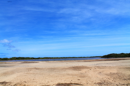 Balade de Anse à la Gourde à la Pointe Des Châteaux 