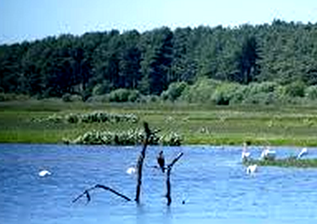 Excursion de 4 jours en Côte d'Opale et Baie de Somme 5