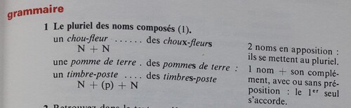 E / Le pluriel des noms composés