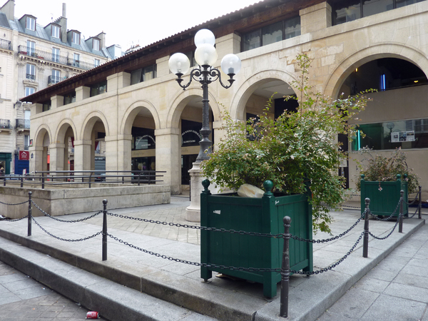 Les contrebasses font leur cinéma !