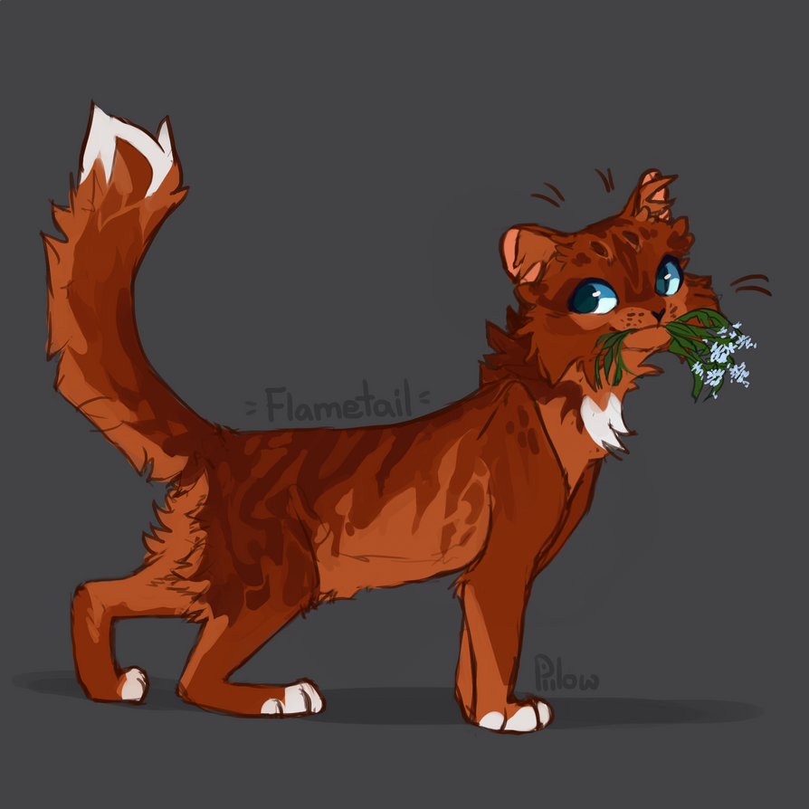 Flametail by GrayPillow on DeviantArt